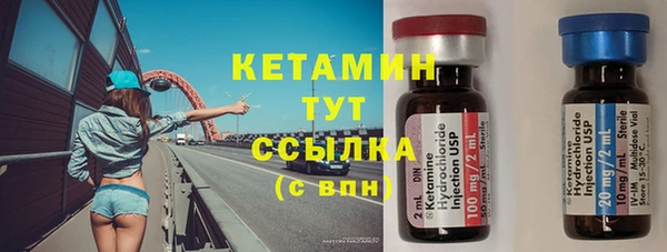 крисы Алексин