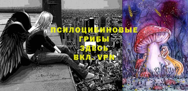 крисы Алексин