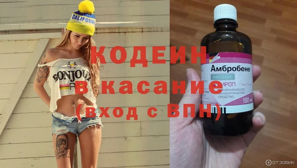 крисы Алексин