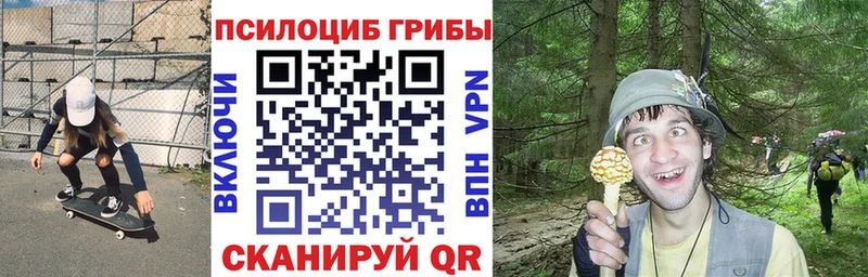 Псилоцибиновые грибы прущие грибы  omg сайт  Соликамск 