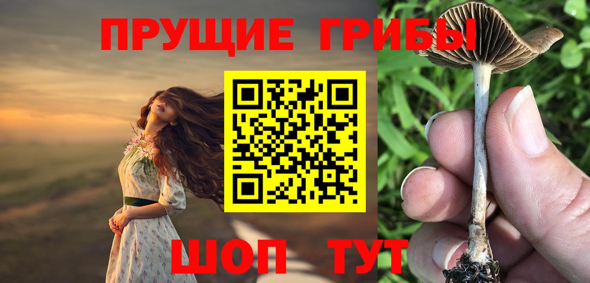 Галлюциногенные грибы Magic Shrooms  Вход с VPN  Соликамск  Галлюциногенные грибы ЛСД 